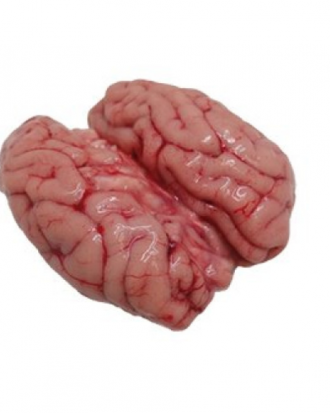 CERVELLE DE PORCS