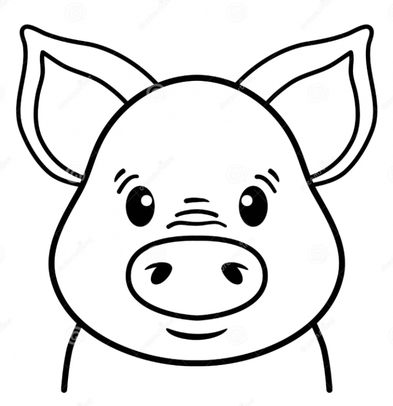 1/2 TETE DE PORCS