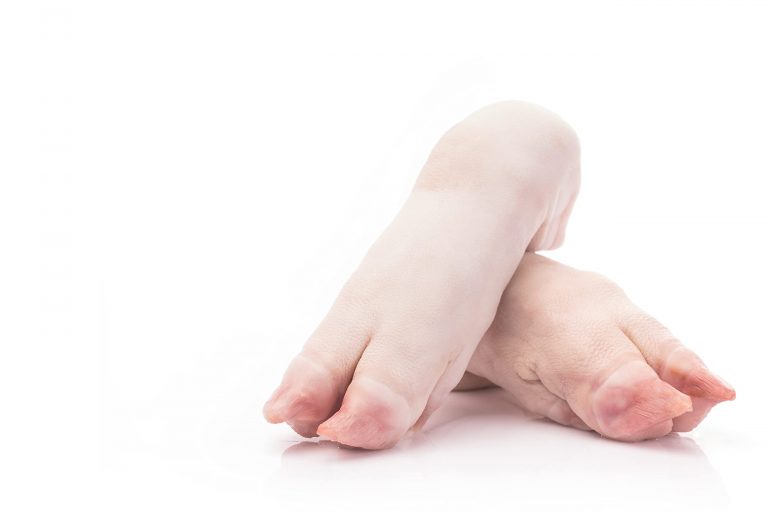 LOT DE 4 PIEDS DE PORCS